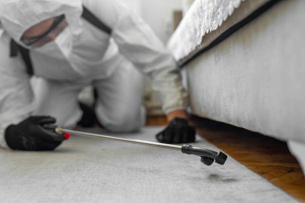 Professional Bed Bug Control technician working in Adelino, NM
