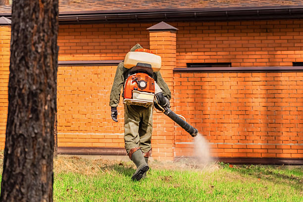 Trusted Mosquito Control service in Adelino, NM - Nex Pest Control